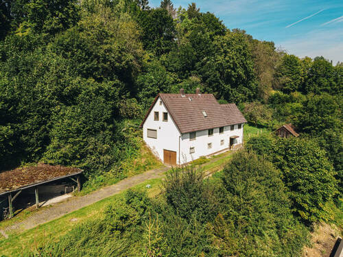 1 - Idyllisches Wohnen im Grünen - Großes Grundstück mit Potenzial!
