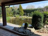 Blick zum Teich - 