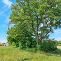Baugrundstück Bild 5 - 