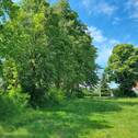 Baugrundstück Bild 8 - 