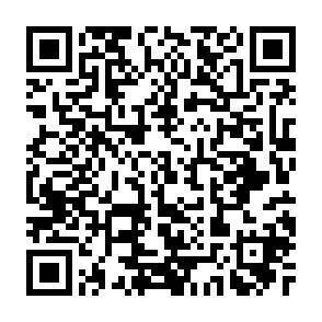 QR-Code - Mehrfamilienhaus, Wohnhaus mit 266,00 m² in Muldenhammer - Hammerbrücke zum Kaufen