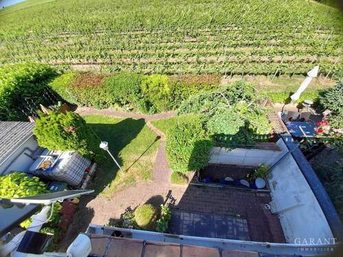 Blick in den Garten - 