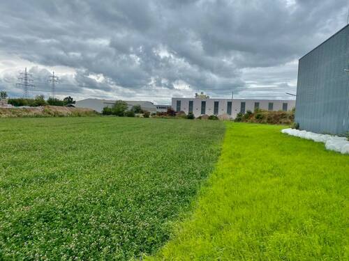 Gewerbegrundstück - Halle in Kulmbach