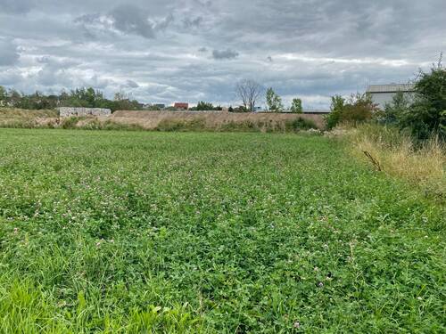 Gewerbegrundstück - Halle in Kulmbach zum Kaufen
