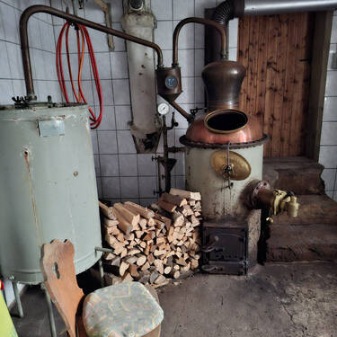 20241205_152256.jpg - 