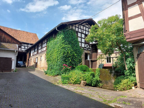 20240628_160345.jpg - 