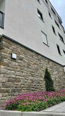 20250603 BUL EF (2).jpg - 