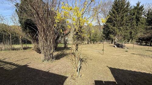 Blick in den Garten - 