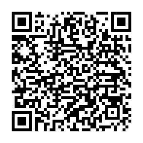 QR-Code - 