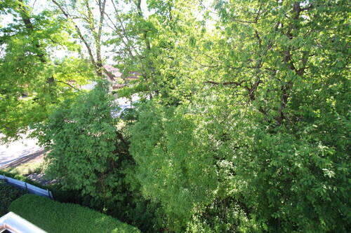 Blick vom Balkon - 