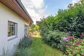 Blickdicht eingewachsen - 