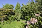 Garten - 