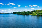 See - 