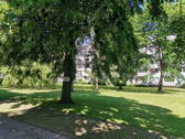 Bild 16 - 