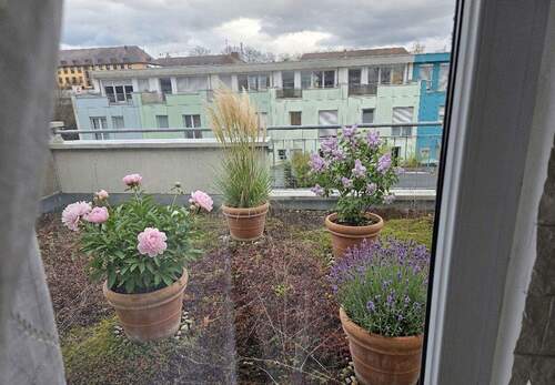 Dachterrasse Hinterseite - 