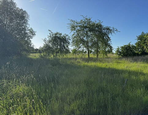 Ostansicht - Grundstück in Vellmar zum Kaufen