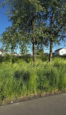 Westansicht - 