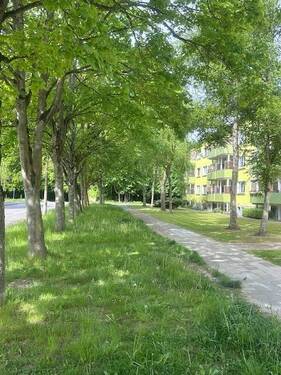 IMG_6142 - Etagenwohnung mit 61,00 m² in Barth zum Kaufen