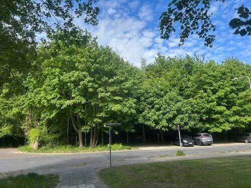 Parknähe - 