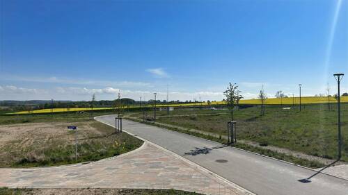 Ferienhausgebiet - Rapsfeld - 