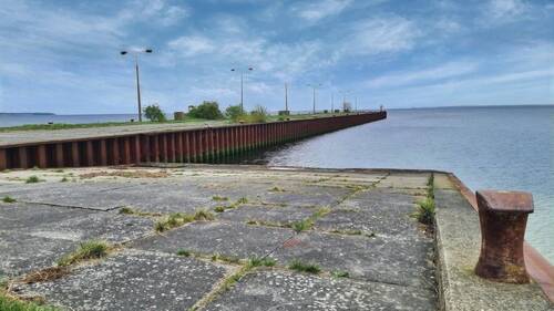 Mole in der Wohlenberger Wiek - 