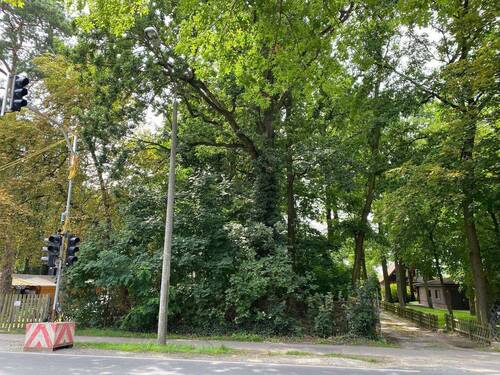 Straßenansicht - Attraktives Grundstück mit Baummöglichkeiten in Rahnsdorf - Ihr neues Bauprojekt wartet!