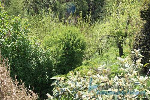 Garten.jpg - 