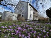 Garten - Einfamilienhaus mit 135,00 m² in Regensburg zum Kaufen