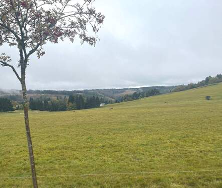 Ausblick - Grundstück zum Kaufen in Cursdorf