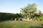 Kräutergarten - 