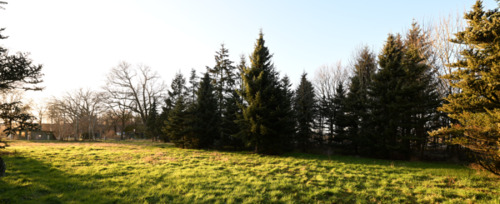 Bild8 - Grundstück in Lintig zum Kaufen