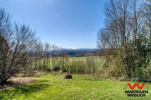Luftbild 'Blick auf die Alpen' - 