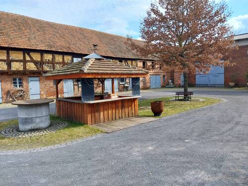 20250314_120222~2.jpg - 