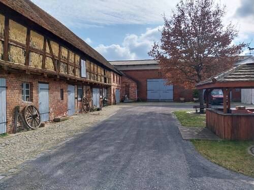 20250314_120329.jpg - 