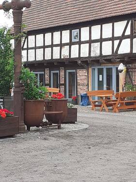 20210615_143928.jpg - 