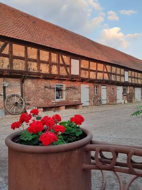 20210628_205248.jpg - 