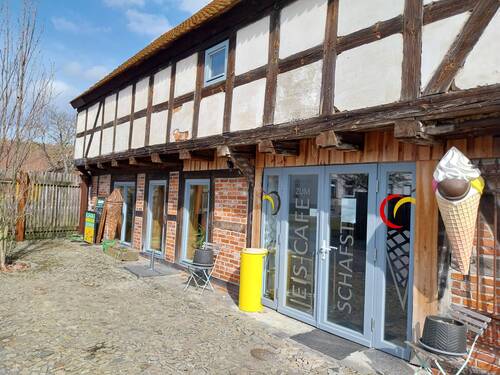 20250314_120413.jpg - 