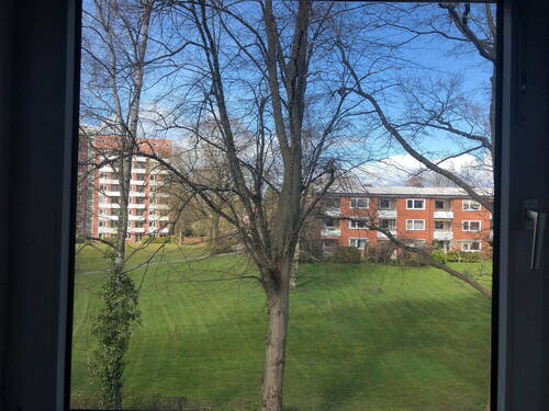 Blick aus dem Küchenfenster - 