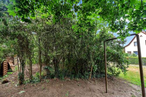 Bewachsung - 