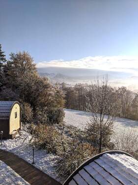 Winterimpressionen - 