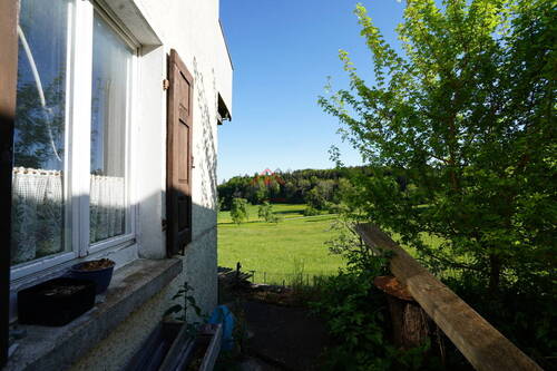 Ausblick ins Grüne - 