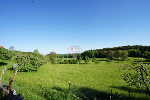 Ausblick vom Garten - 