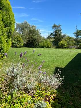 Natur pur.JPG - 