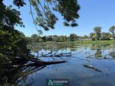IMG_3946-1 - 