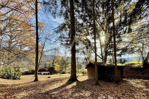 Außengelände mit Grillplatz - 