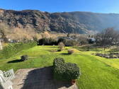 Blick in den Garten - 