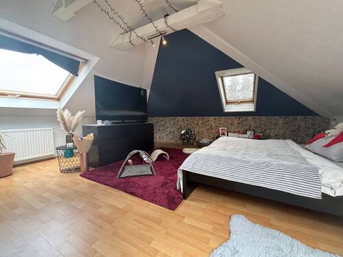 Zimmer DG - 