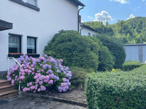 Grundstück vor dem Haus - 8 Zimmer Einfamilienhaus in Arnsberg