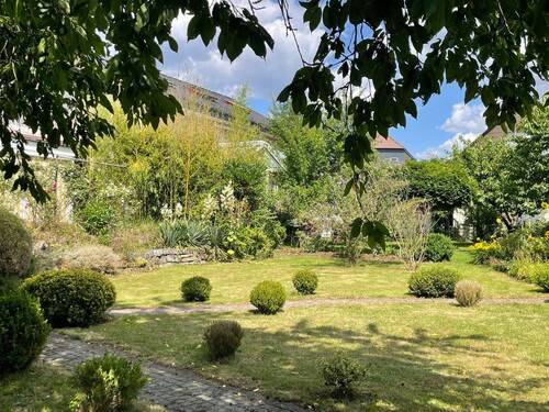 Garten hinter dem Haus - 