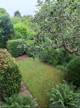 Garten - 